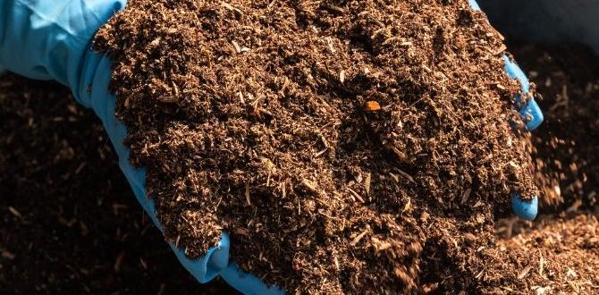 Faqs about rice hulls in gardening rice hulls for gardening Faqs about rice hulls in gardening rice hulls for gardening