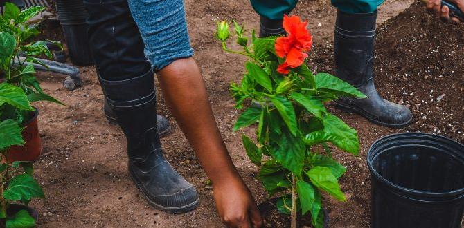 Fertilizers and nutrients what do i need for gardening Fertilizers and nutrients what do i need for gardening
