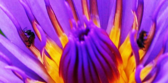 Flower gardening for beginners ideas for flower gardens