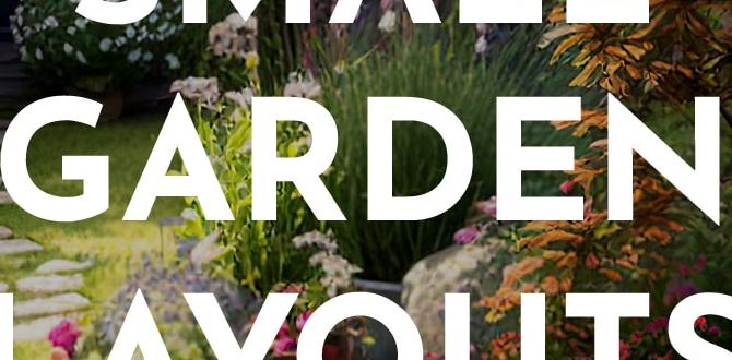 Formatting garden layouts designs for small gardens