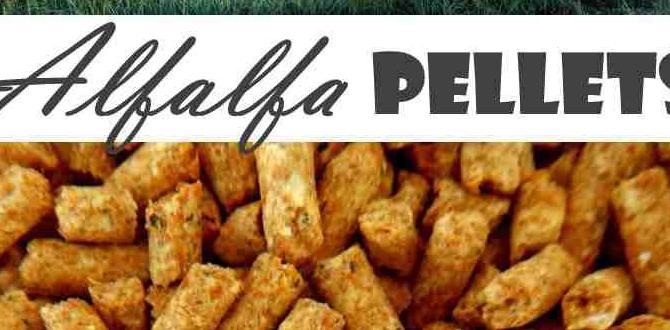 Frequently asked questions about alfalfa pellets alfalfa pellets for gardening Frequently asked questions about alfalfa pellets alfalfa pellets for gardening