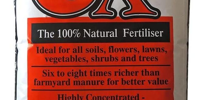 Frequently asked questions about chicken fertilizer chicken fertilizer for gardens Frequently asked questions about chicken fertilizer chicken fertilizer for gardens