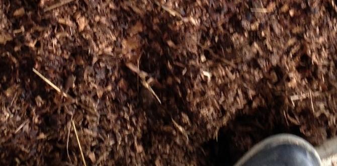 Frequently asked questions about composted horse manure composted horse manure for gardens Frequently asked questions about composted horse manure composted horse manure for gardens