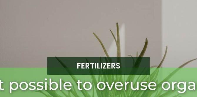 Frequently asked questions about container gardening fertilizers fertilizer for container gardening Frequently asked questions about container gardening fertilizers fertilizer for container gardening