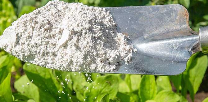 Frequently asked questions about diatomaceous earth diatomaceous earth for gardens
