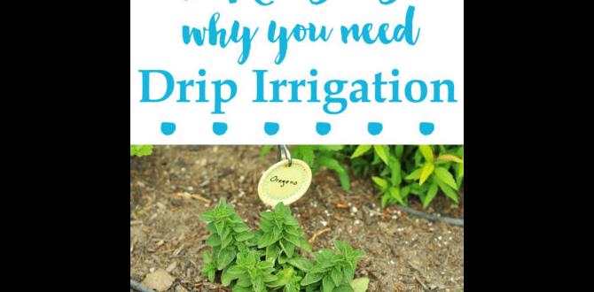Frequently asked questions about drip systems drip systems for gardens