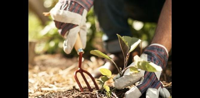Frequently asked questions about gardening insurance insurance for gardeners