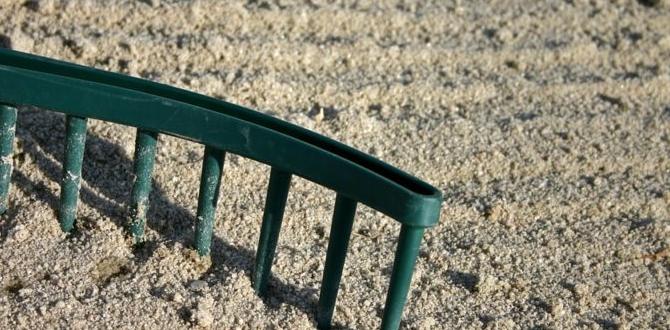 Frequently asked questions about green sand green sand for gardening Frequently asked questions about green sand green sand for gardening