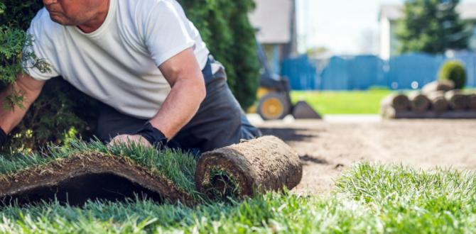 Frequently asked questions about liability insurance for gardeners liability insurance for gardeners Frequently asked questions about liability insurance for gardeners liability insurance for gardeners