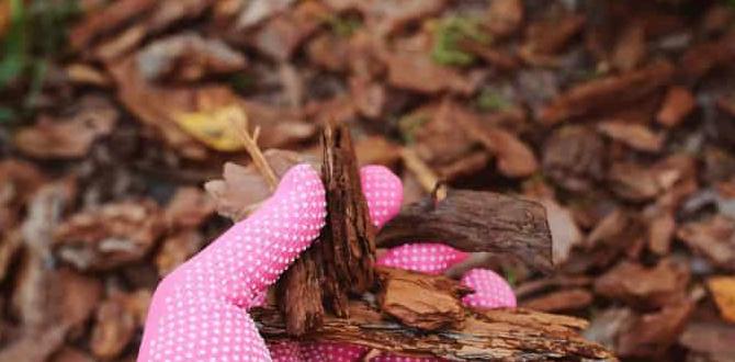 Frequently asked questions about mulch mulch for gardening