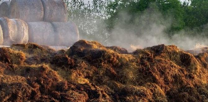 Frequently asked questions about mushroom compost is mushroom compost good for vegetable gardens