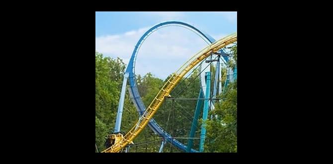 Frequently asked questions about mwr tickets mwr tickets for busch gardens Frequently asked questions about mwr tickets mwr tickets for busch gardens
