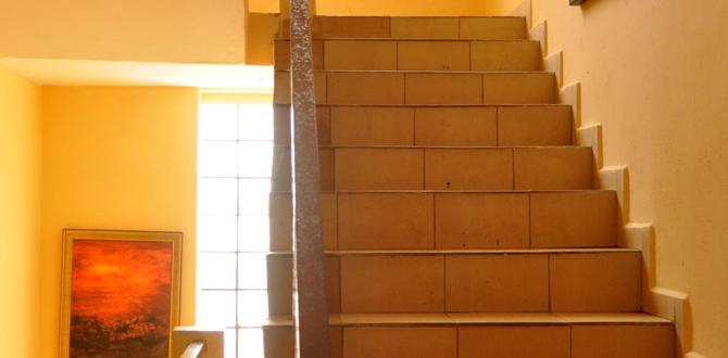 Frequently asked questions about renting in hampton gardens for rent hampton gardens Frequently asked questions about renting in hampton gardens for rent hampton gardens