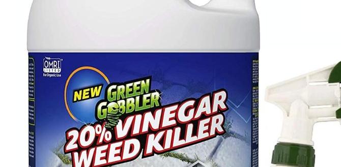 Frequently asked questions about safe weed killers what weed killer is safe for vegetable gardens Frequently asked questions about safe weed killers what weed killer is safe for vegetable gardens