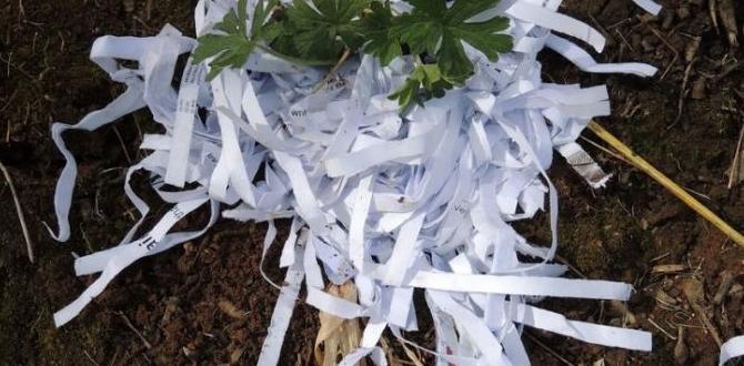 Frequently asked questions about shredded paper in gardens is shredded paper good for gardens Frequently asked questions about shredded paper in gardens is shredded paper good for gardens