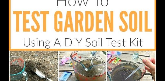 Frequently asked questions about soil testing kits soil testing kit for gardening Frequently asked questions about soil testing kits soil testing kit for gardening
