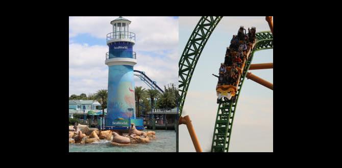 Frequently asked questions about tickets busch gardens tickets for florida residents Frequently asked questions about tickets busch gardens tickets for florida residents