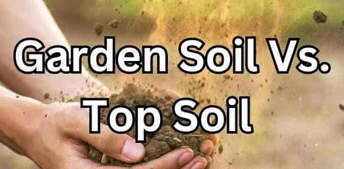 Frequently asked questions about top soil top soil for gardening Frequently asked questions about top soil top soil for gardening