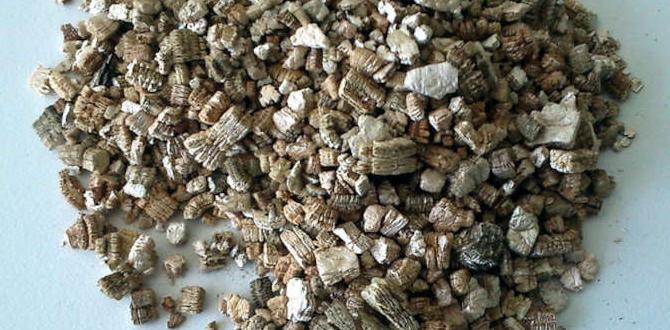 Frequently asked questions about vermiculite for gardening vermiculite for gardening Frequently asked questions about vermiculite for gardening vermiculite for gardening