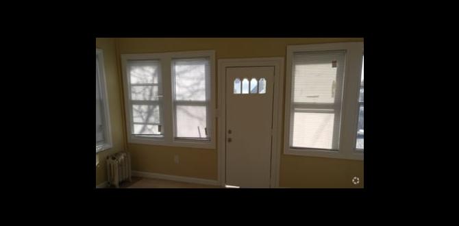 Frequently asked questions apartments for rent in springfield gardens ny Frequently asked questions apartments for rent in springfield gardens ny