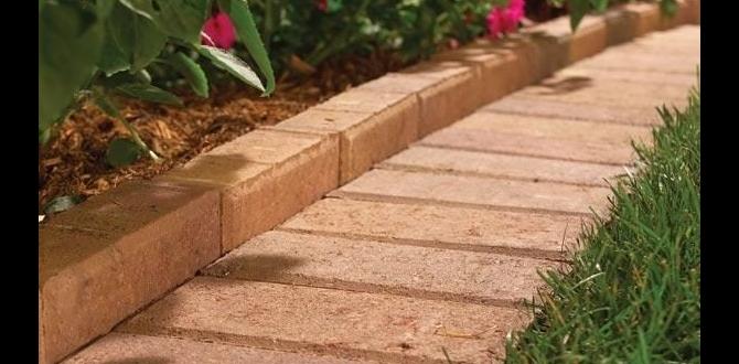 Frequently asked questions decorative metal edging for gardens Frequently asked questions decorative metal edging for gardens