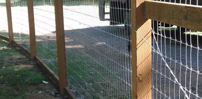 Frequently asked questions faqs about wire fences wire fences for gardens
