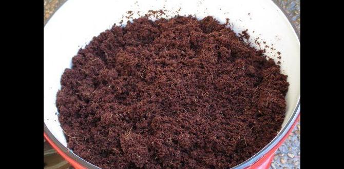 Frequently asked questions faqs diy potting soil for container gardening Frequently asked questions faqs diy potting soil for container gardening