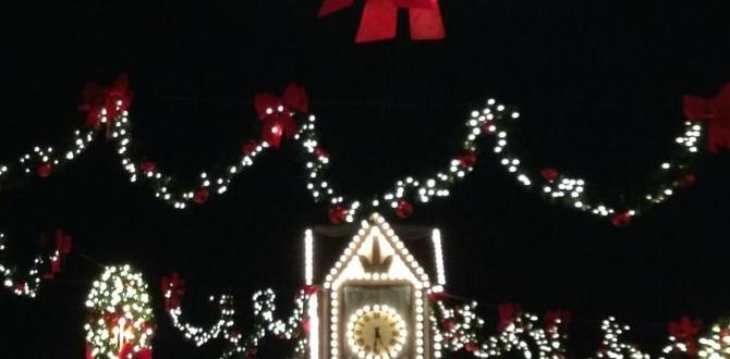 Frequently asked questions faqs hours for busch gardens christmas town Frequently asked questions faqs hours for busch gardens christmas town