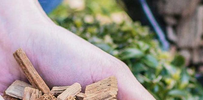 Frequently asked questions faqs rubber mulch for flower gardens Frequently asked questions faqs rubber mulch for flower gardens