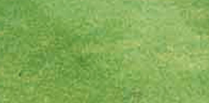 Frequently asked questions weed and feed for gardens Frequently asked questions weed and feed for gardens