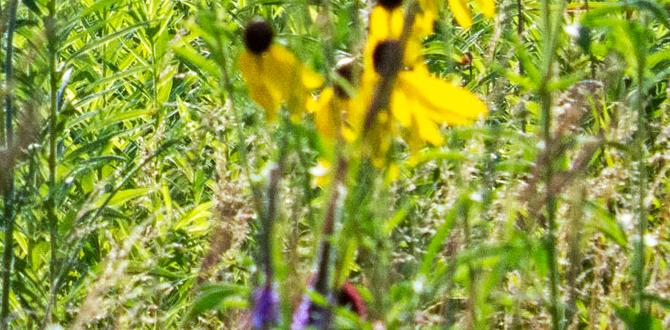 Future trends in gardening grants grants for gardens Future trends in gardening grants grants for gardens