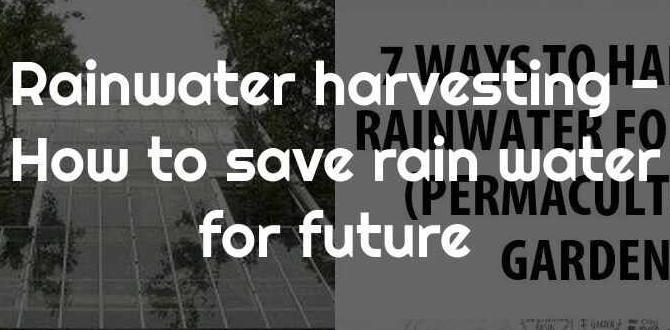 Future trends in rainwater harvesting for gardening rain catchers for gardens Future trends in rainwater harvesting for gardening rain catchers for gardens