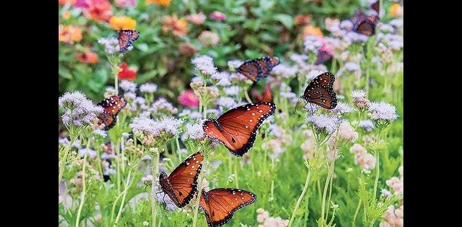 Future trends of bluetooth in gardening bt for gardening Future trends of bluetooth in gardening bt for gardening