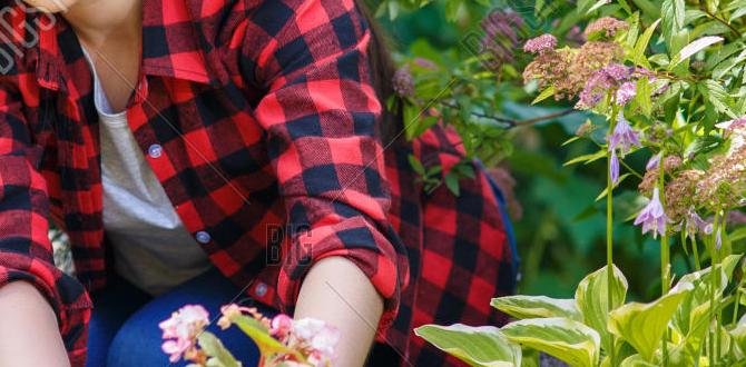Gardener vs other related professions synonym for gardener