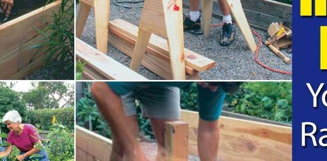 Getting started: steps to create your own raised bed garden raised bed gardening for disabled Getting started: steps to create your own raised bed garden raised bed gardening for disabled