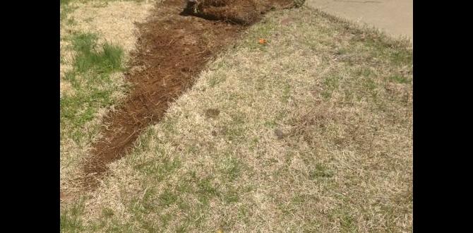 Getting started with backyard gardening backyard gardening for beginners Getting started with backyard gardening backyard gardening for beginners