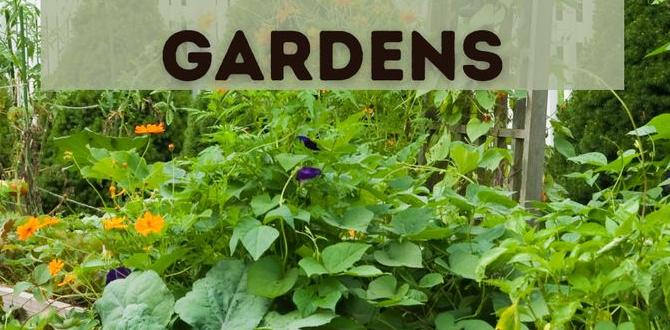 Guidance for concerned gardeners how bad is pressure treated wood for vegetable gardens