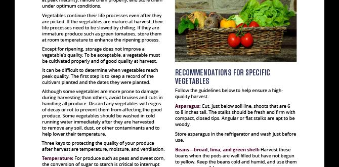 Harvesting and storage gardening for beginner Harvesting and storage gardening for beginner
