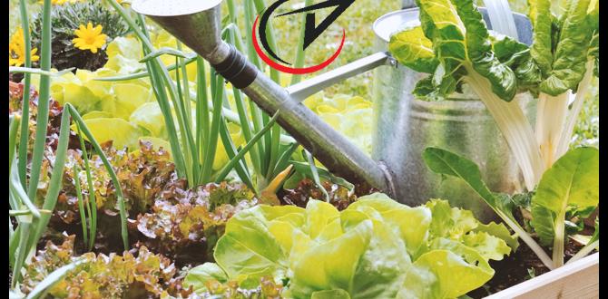 Harvesting and storage tips vegetable gardens for beginners