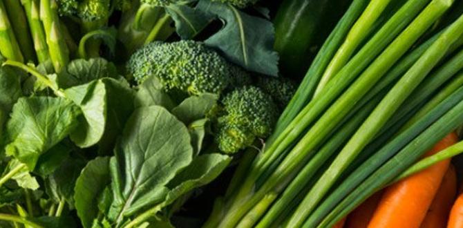 Harvesting your vegetables vegetable gardening for beginners Harvesting your vegetables vegetable gardening for beginners