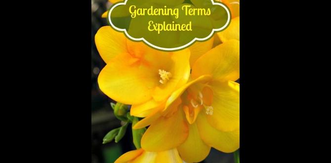 Historical context of gardening terms another name for gardening Historical context of gardening terms another name for gardening