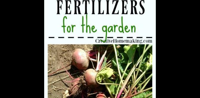 Homemade garden fertilizers diy for gardening Homemade garden fertilizers diy for gardening
