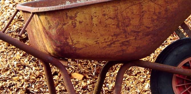 Homemade natural mulch options natural mulch for gardens Homemade natural mulch options natural mulch for gardens
