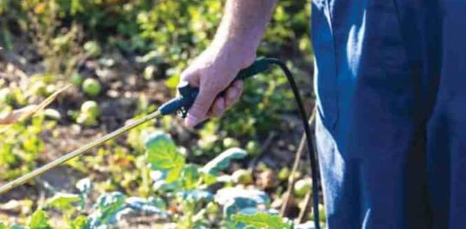 Homemade natural weed killer recipes natural weed killer for gardens Homemade natural weed killer recipes natural weed killer for gardens
