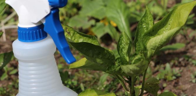 How epsom salts aid specific plants epsom salts for gardening How epsom salts aid specific plants epsom salts for gardening