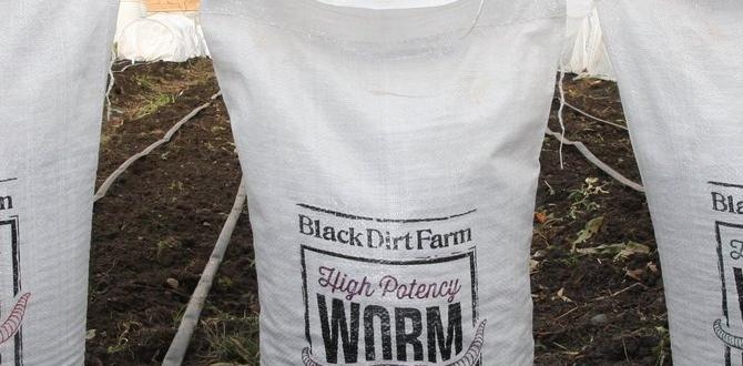 How to acquire black dirt black dirt for gardens How to acquire black dirt black dirt for gardens