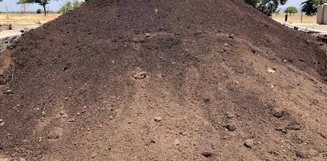 How to incorporate humus into your garden humus for gardening How to incorporate humus into your garden humus for gardening