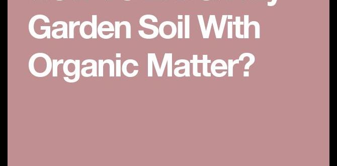 How to incorporate organic matter into your garden organic matter for gardens How to incorporate organic matter into your garden organic matter for gardens
