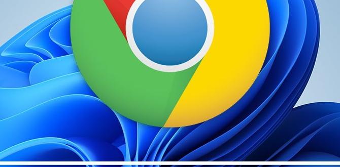 How to install a garden windmill windmills for gardens How to install a garden windmill windmills for gardens