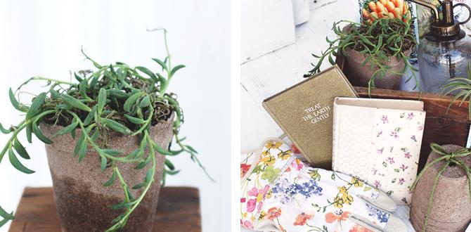 How to personalize a gift basket for individual gardeners gift baskets for gardeners